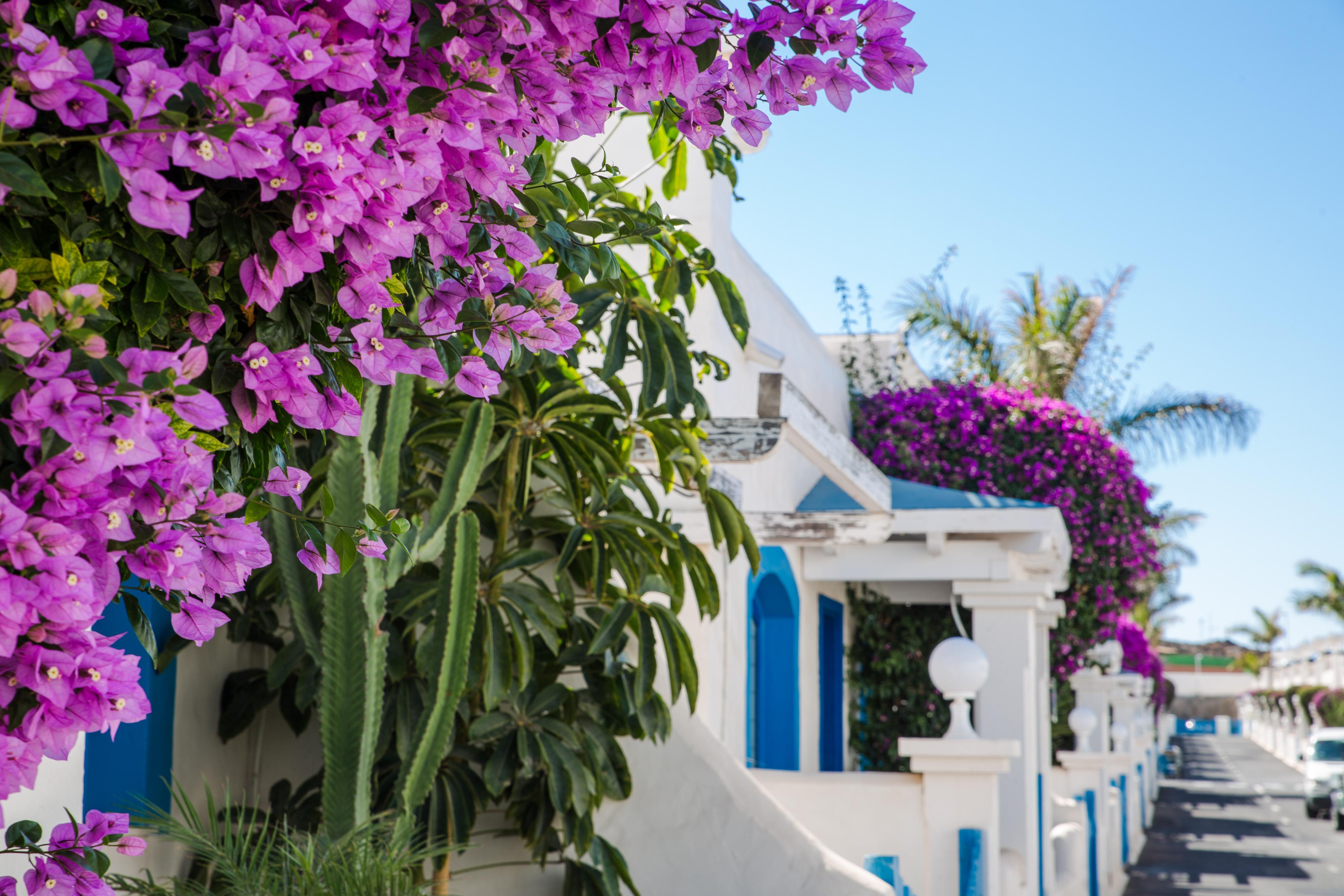 Bahiazul Resort Fuerteventura Corralejo Extérieur photo